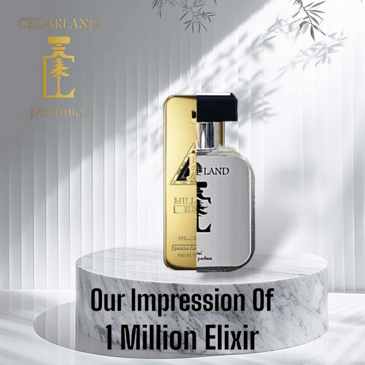Our impression of 1 Million Elixir by Rabanne 10 ml