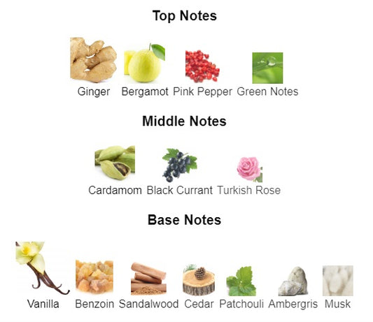 Our impression of ANI by NISHANE 10 ml