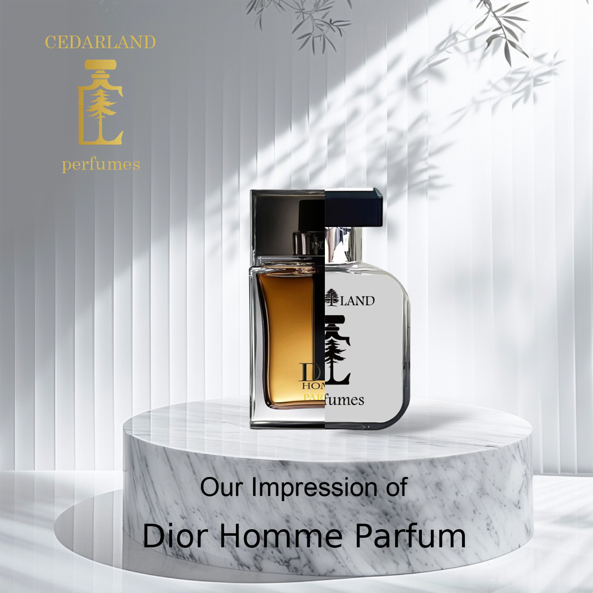 Our impression of Dior Homme Parfum