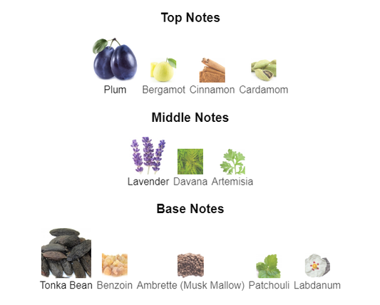 Our Impression of Le Male Elixir Absolu by JPG