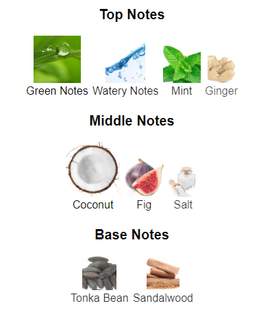 Our impression of Le Beau Paradise Garden by JPG