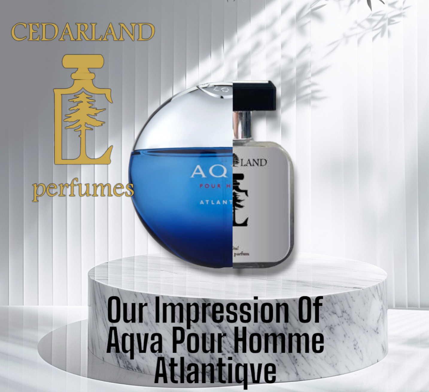 Our impression of Aqva Pour Homme Atlantiqve by Bvlgari 10 ml