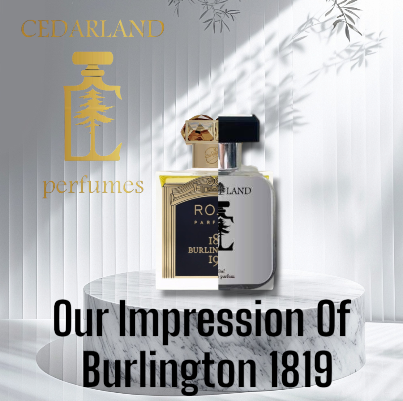 Our impression of Burlington 1819 by ROJA 10 ml