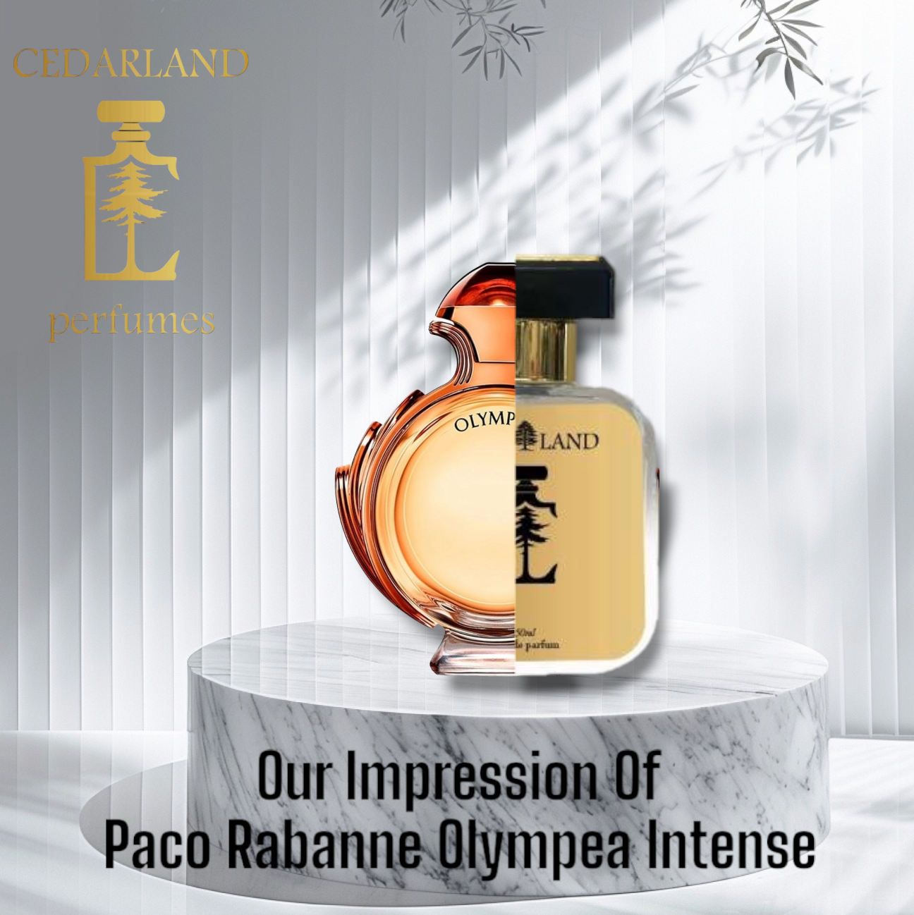 Our impression of Olympea intense BY Rabanne 10 ml