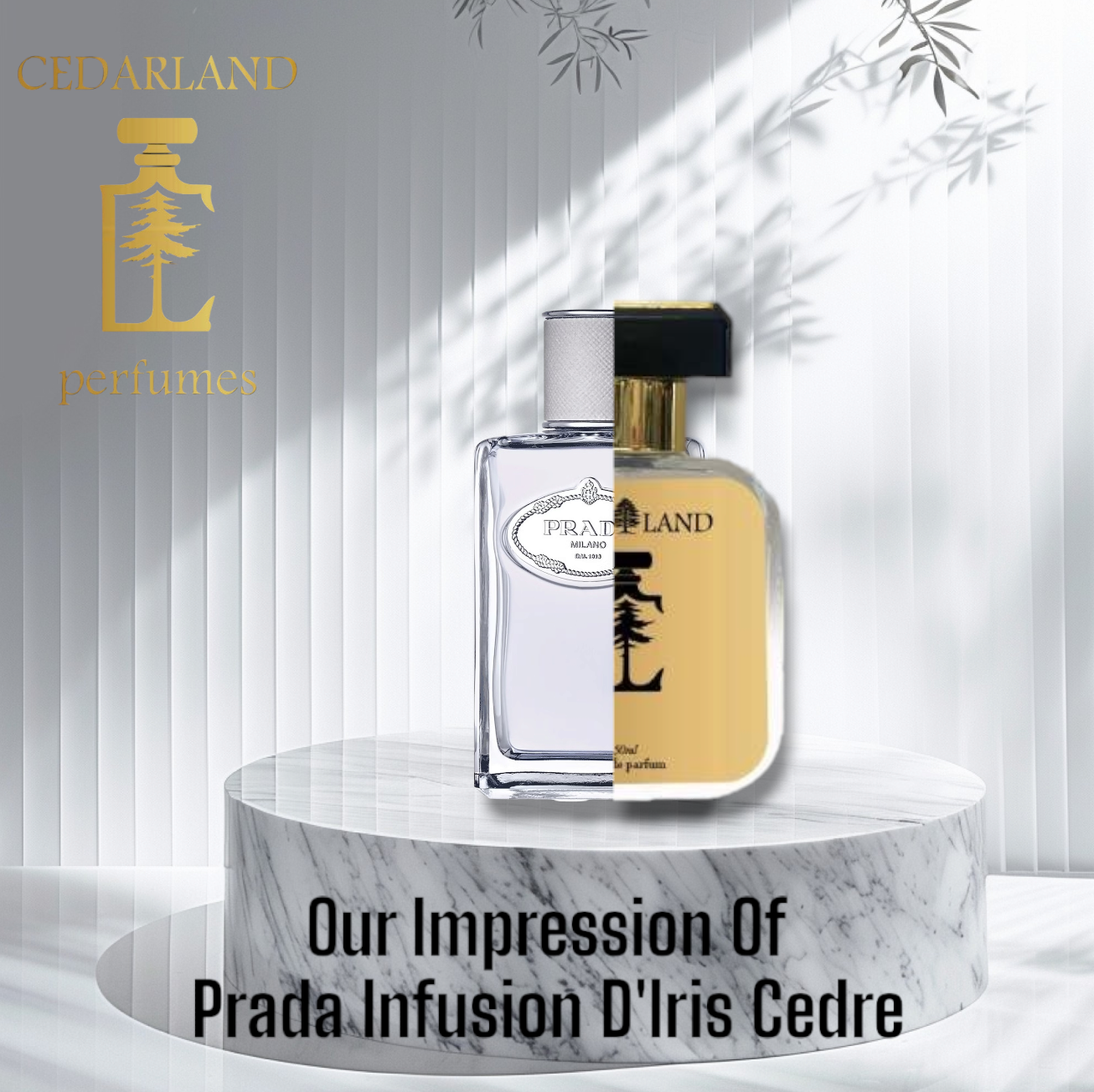 Our impression of Prada infusion D Iris Cedre 10 ml