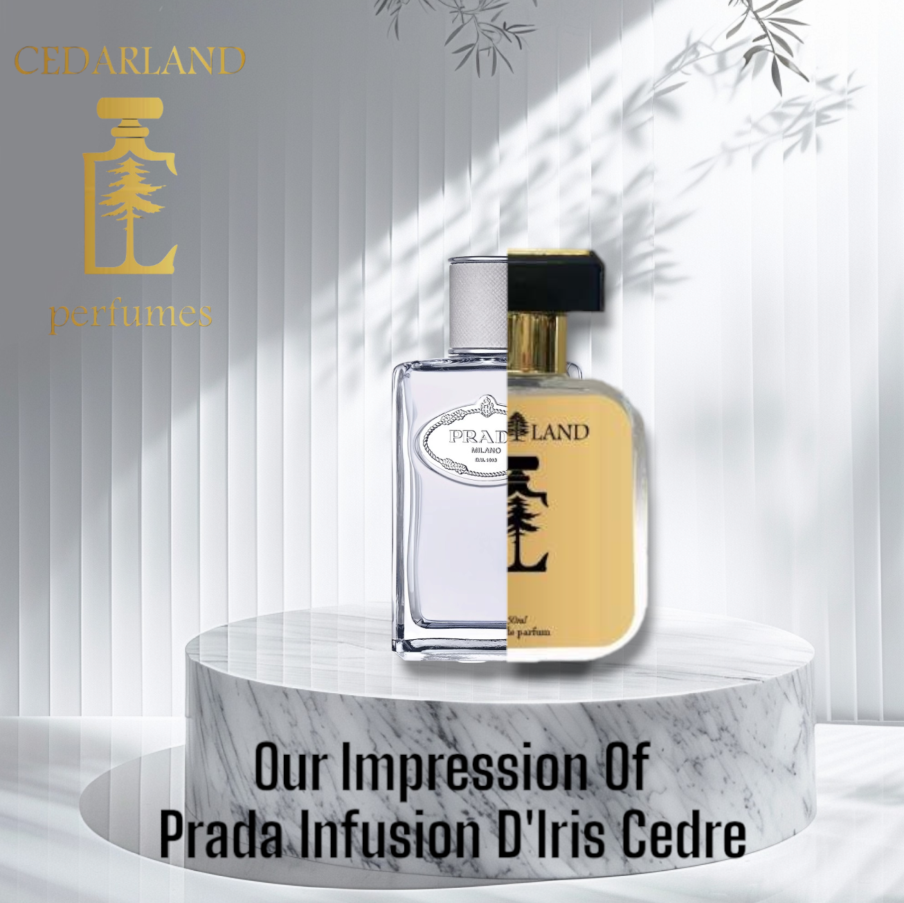Infusion iris cedre prada sales