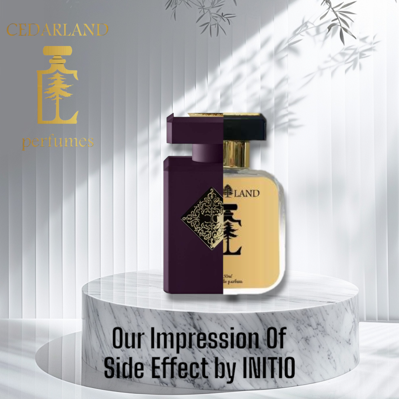 Our impression of Side Effect