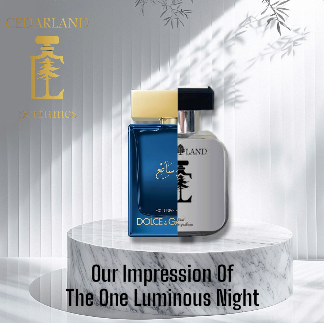 Our impression of The One Luminous night