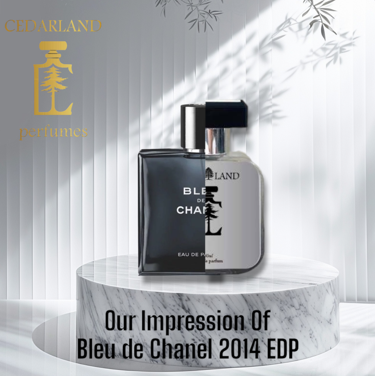 Our impression of Bleu De Chanel EDP 2014 10 ml
