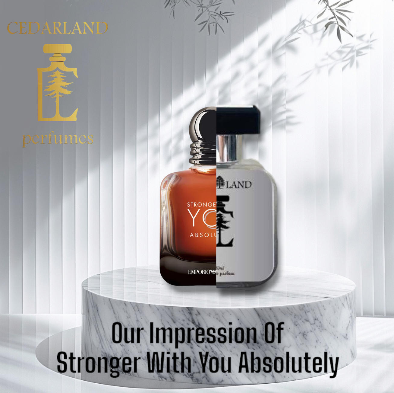 Our impression of Stronger with you absolutely