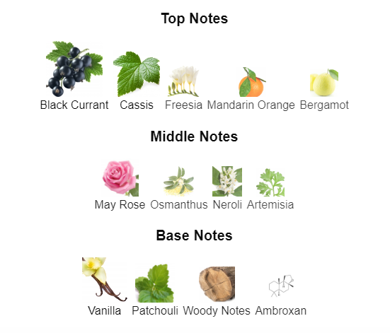 Our Impression of Si Intense By GA