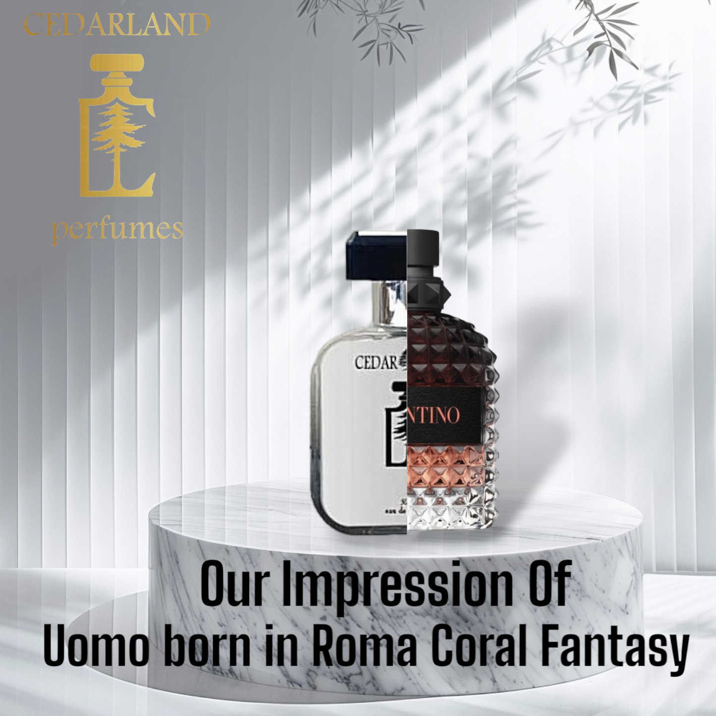 Our impression of Uomo Born In Roma Coral Fantasy