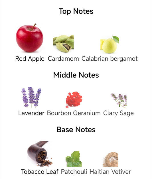 Our impression of Uomo Born In Roma Coral Fantasy