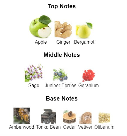 Our impression of Y EDP by YSL