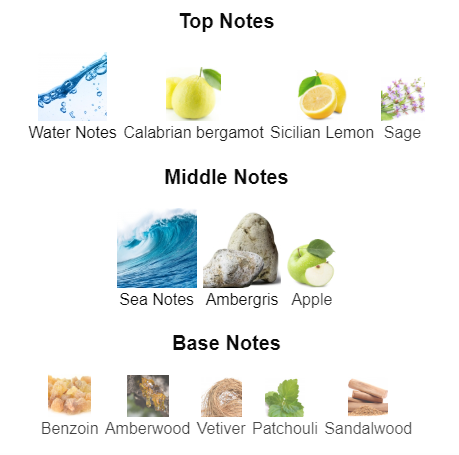 Our impression of Aqva Pour Homme Atlantiqve by Bvlgari