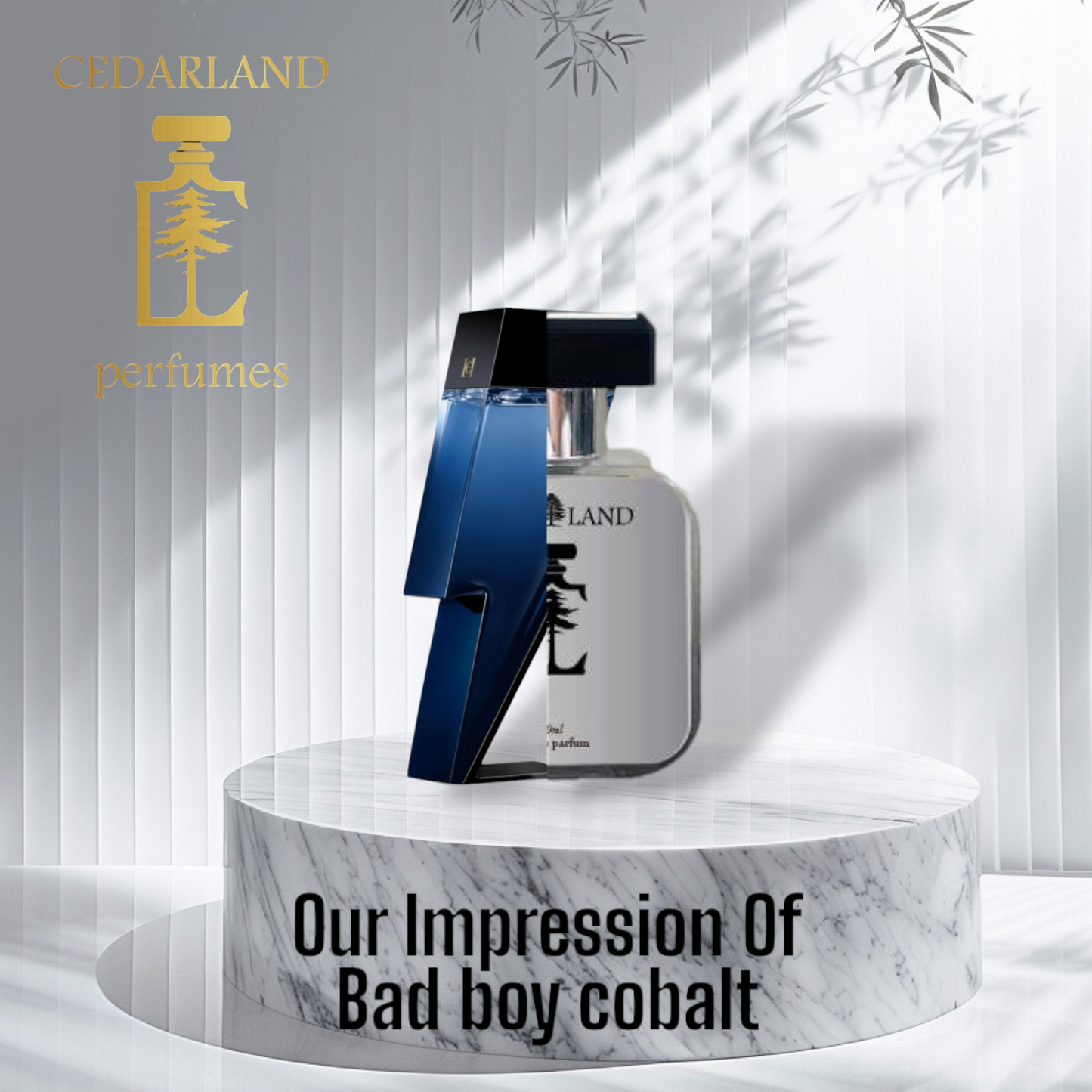 Our impression of Bad Boy Cobalt 15 ml