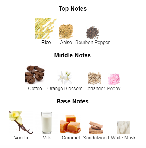 Our impression of Black Opium nuit blanche 10 ml