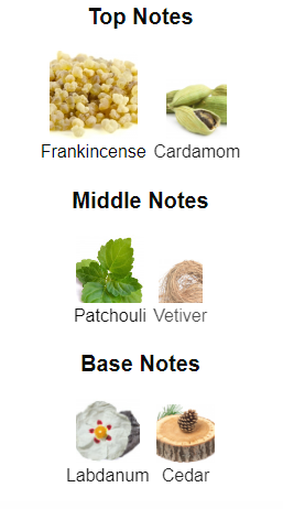 Our impression of Boss Bottled Elixir 10 ml