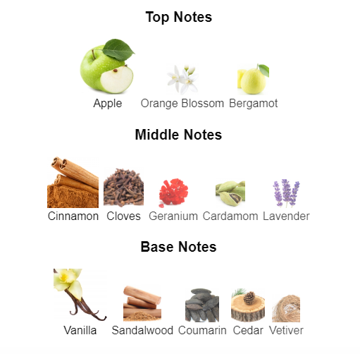 Our Impression of Boss Bottled intense 10 ml