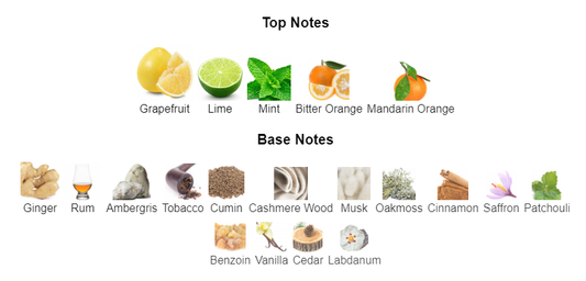 Our impression of Burlington 1819 by ROJA 10 ml