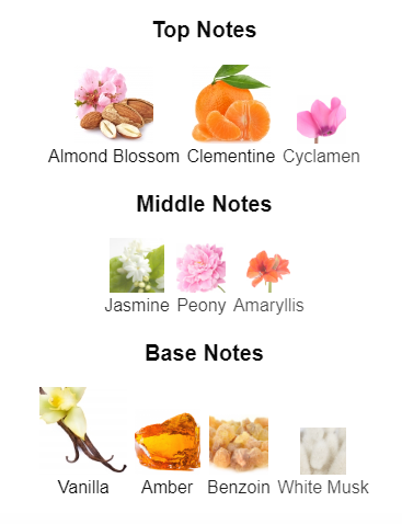 Our impression of Cinema by YSL 10 ml