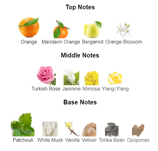 Our impression of COCO Mademoiselle by Chanel 10 ml