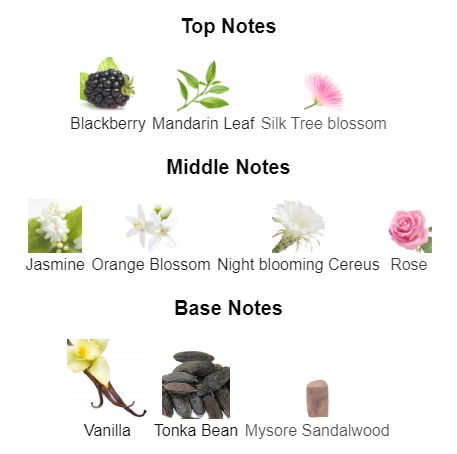 Our impression of Dior Addict by Dior 10 ml