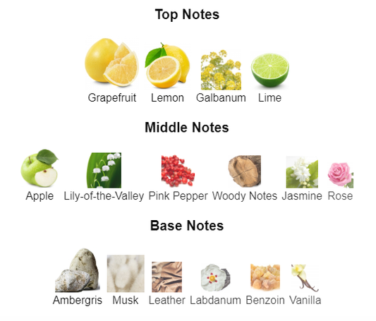 Our impression of Elysium Parfum by ROJA 10 ml