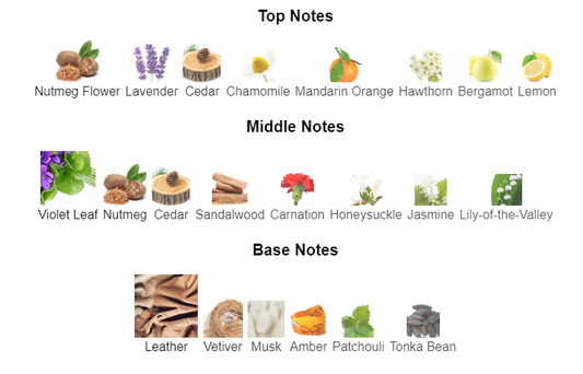 Our impression of Fahrenheit 10 ml