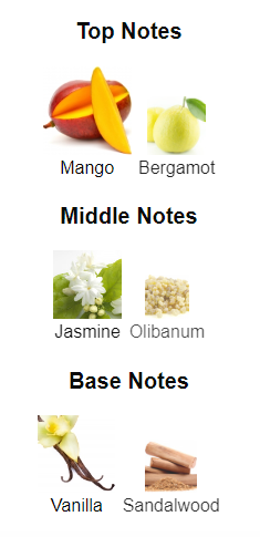 Our impression of Fame Blooming Pink By Rabanne