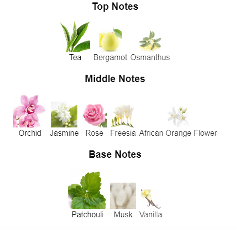 Our impression of Flowerbomb EDP