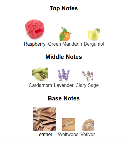 Our impression of Forever wanted Elixir