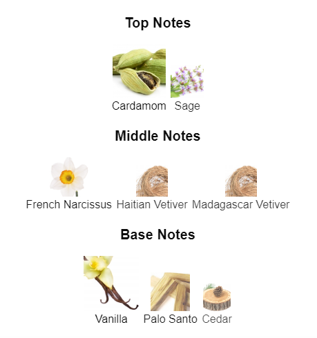 Our impression of Gentleman Society by Givenchy