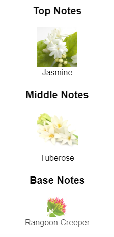 Our impression of GUCCI Bloom by GUCCI 10 ml