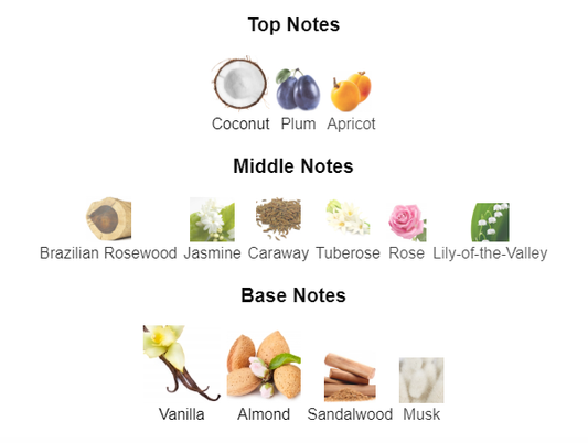 Our impression of Hypnotic poison by Dior 10 ml