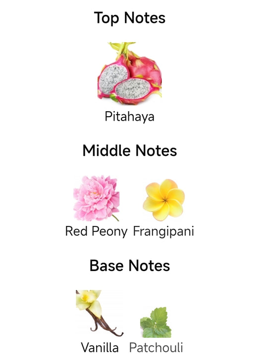 Our impression of La Bomba by CH