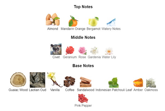 Our Impression Of Layton Exclusive by PDM 50 ml