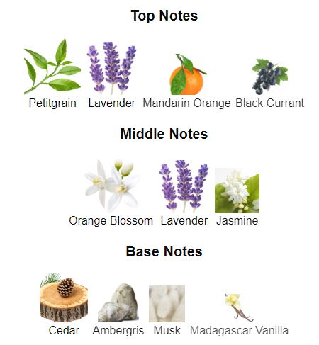 Our impression of Libre Collector Edition 10 ml