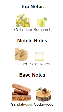 Our Impression of Lovers LV