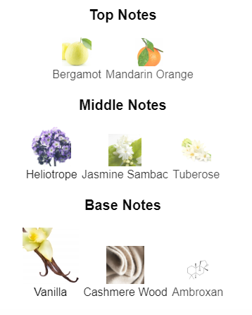 Our impression of Manifesto L'Elixir 10 ml