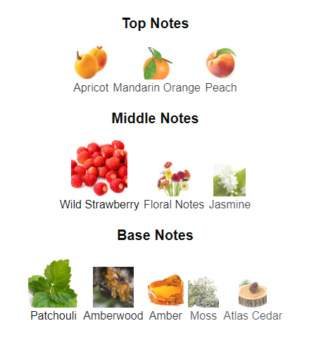 Our impression of Miss Dior Parfum by Dior