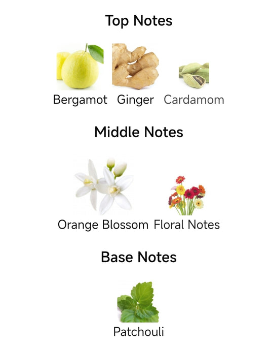 Our impression of MYSLF L'Absolu by YSl