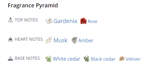 Our impression of Narciso by Narciso Rodriguez