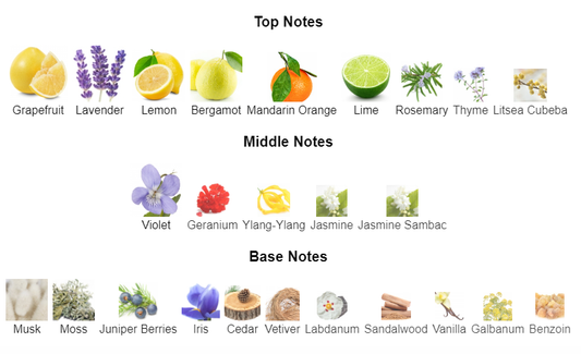 Our impression of Oceania by Roja Dove
