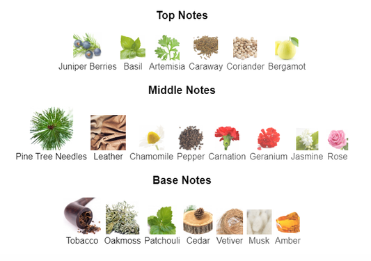 Our Impression of Polo Green by Ralph Lauren