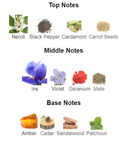 Our impression of PRADA L'HOMME