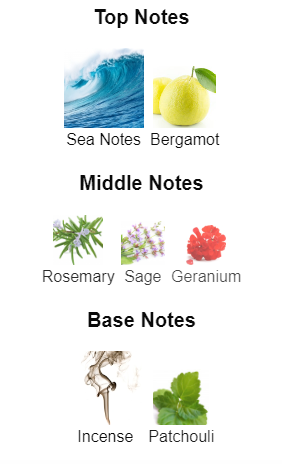 Our Impression of Acqua di Giò Profumo by Giorgio Armani 10 ml