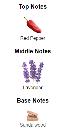 Our impression of Boss The scent Elixir 10 ml