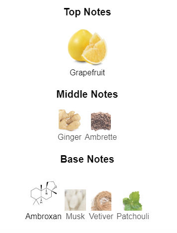 Our impression of Tygar