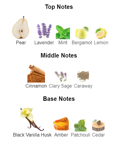 Our impression of Ultra Male by Jean Paul Gaultier